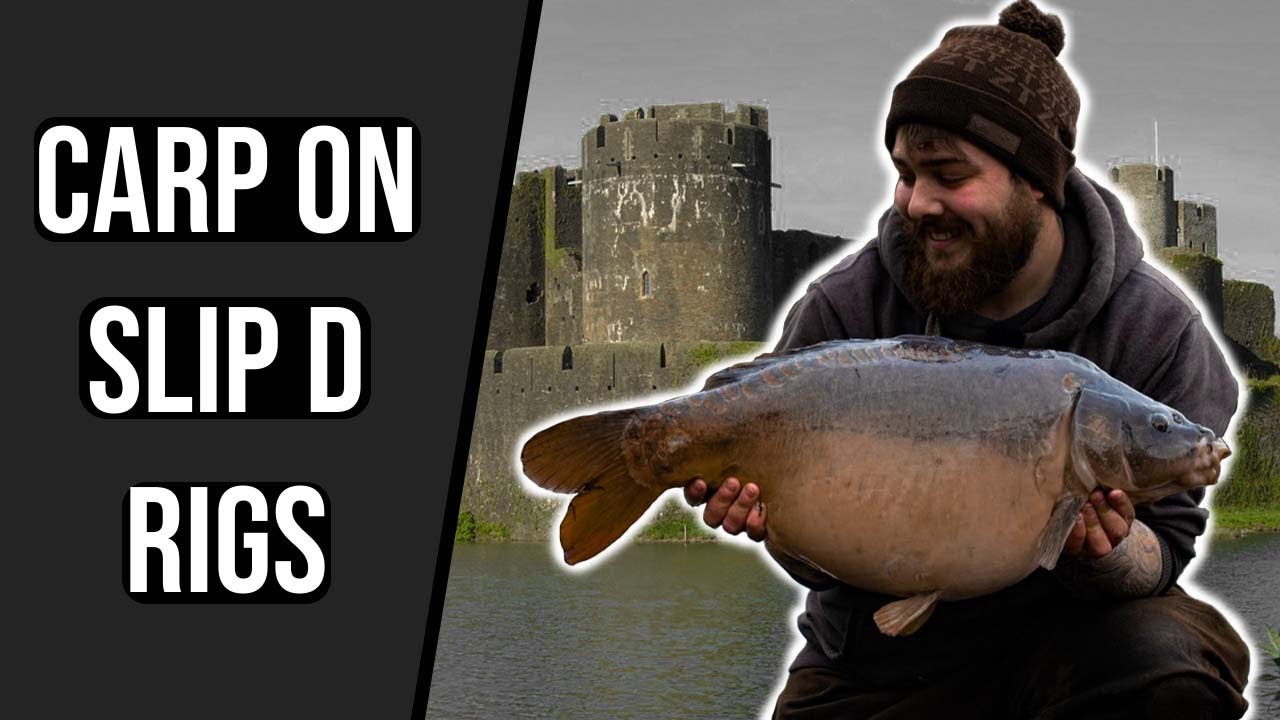 Catching Carp on Slip D Rigs