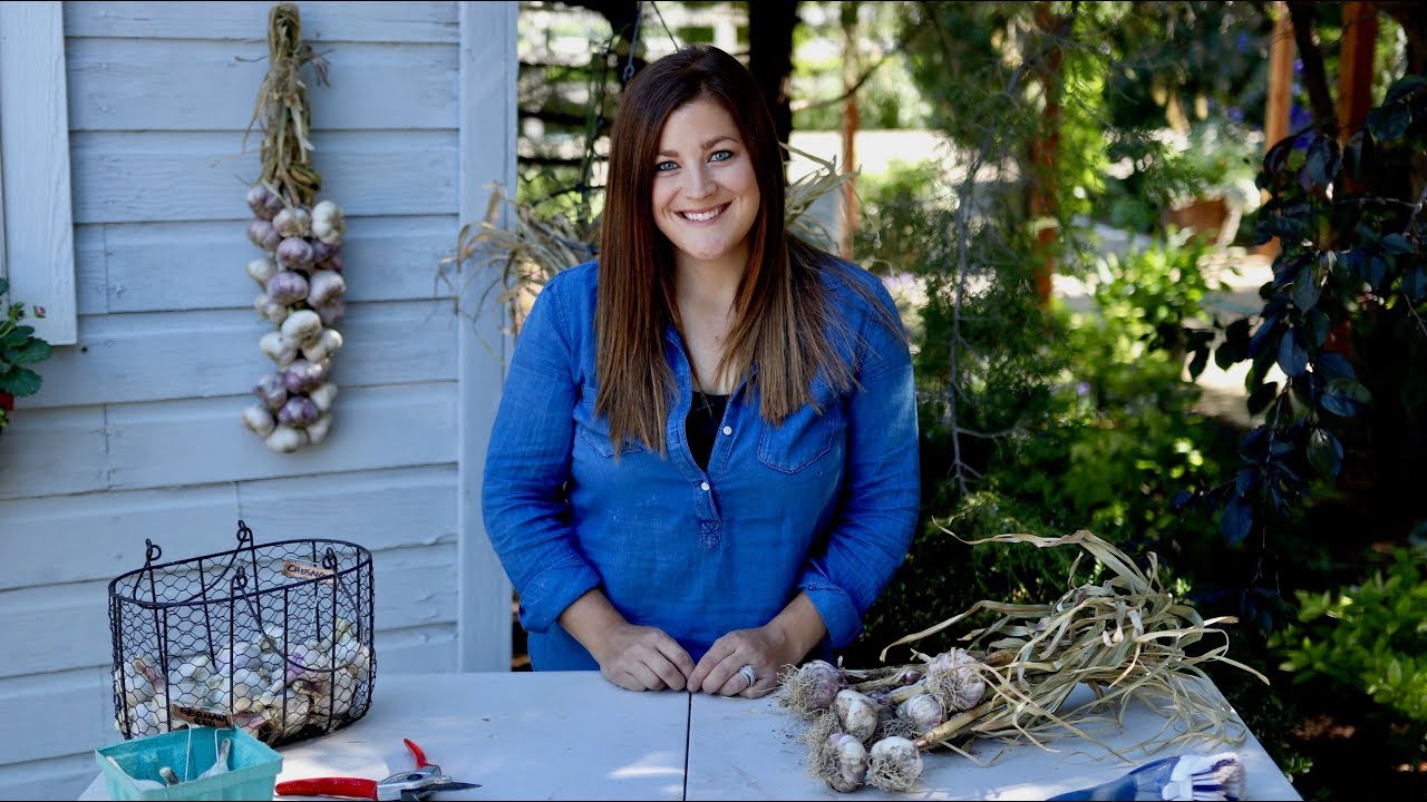 Curing, Storing, and Braiding Garlic 🌿 // Garden Answer