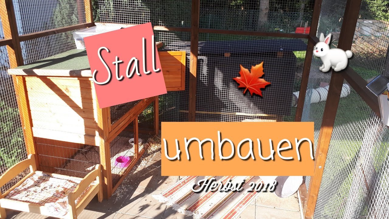 Stall umbauen/Vlog🍁🐇