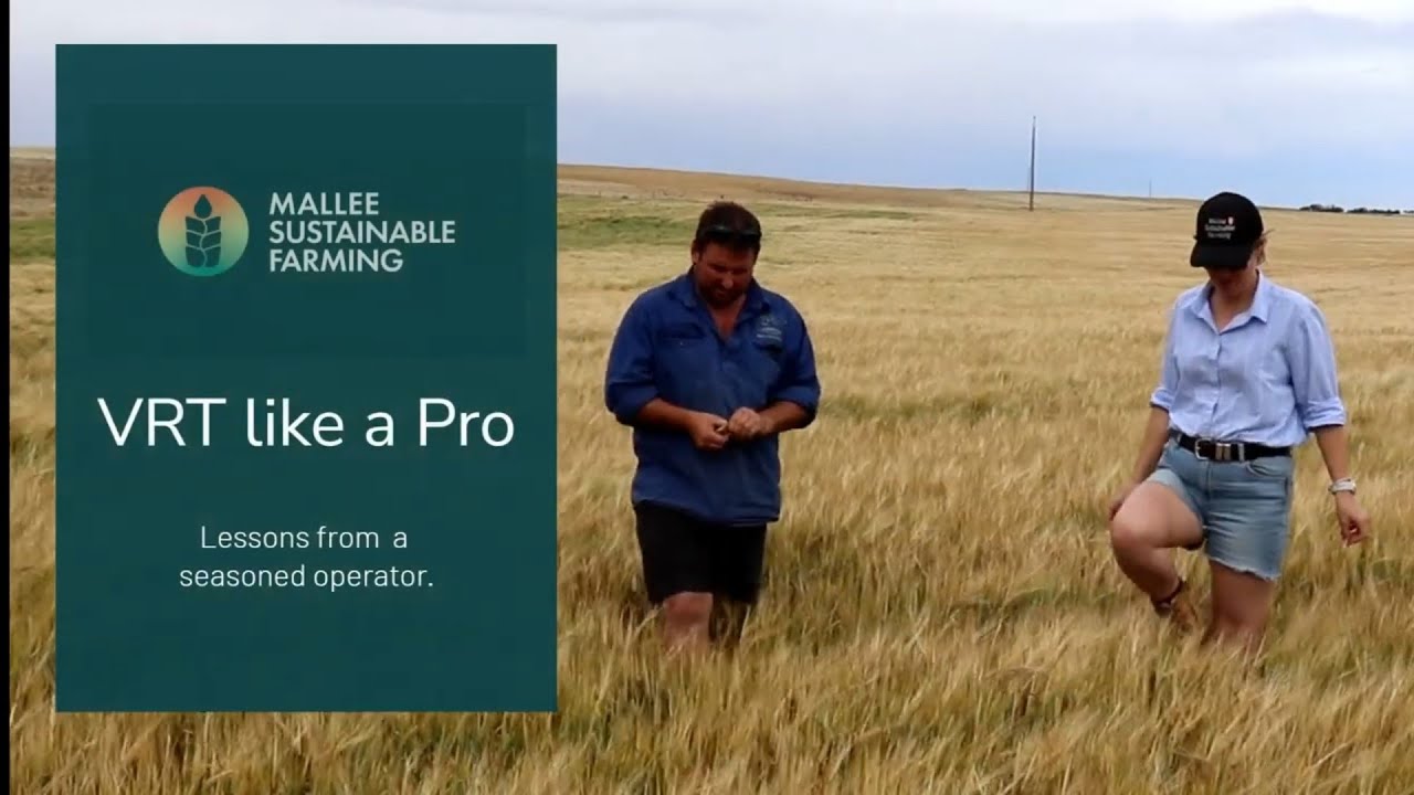 🌾 VRT like a Pro with Robert