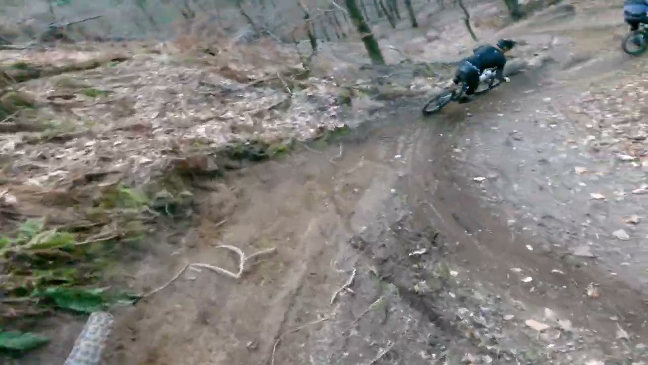 DH Celje Trails 2026 Track Preview