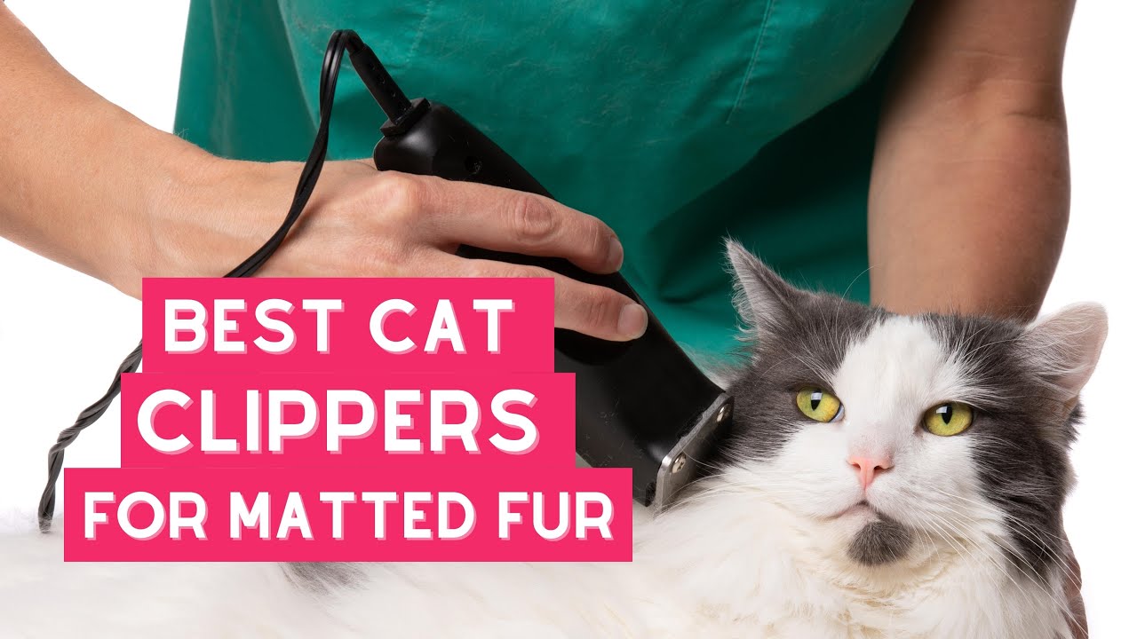 Best Cat Clippers for Matted Fur &ndash; Reviews and Comparisons