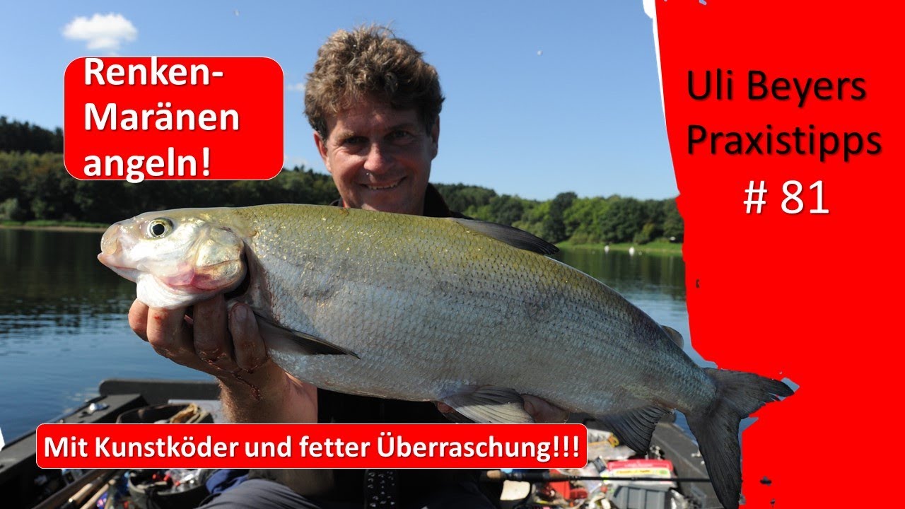 Maränen Angeln: Am Dropshot-Rig mit der Spinnrute