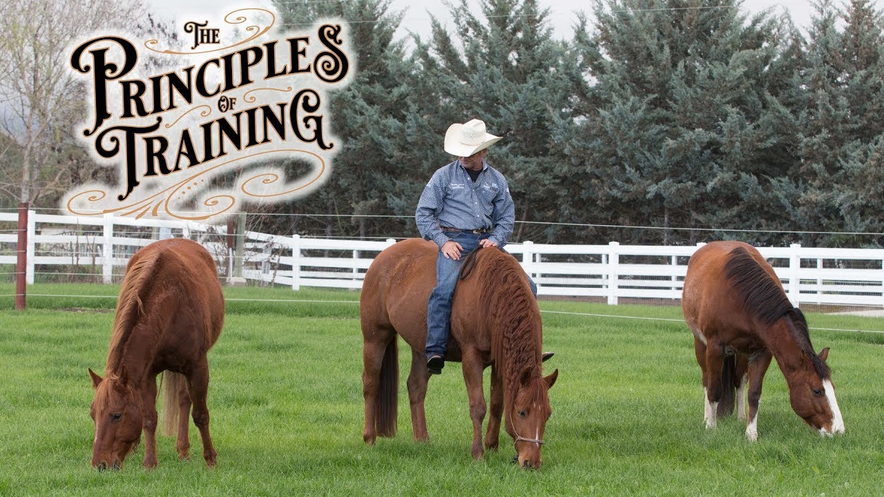 The Principles of Training Season 1 Episode 2: 