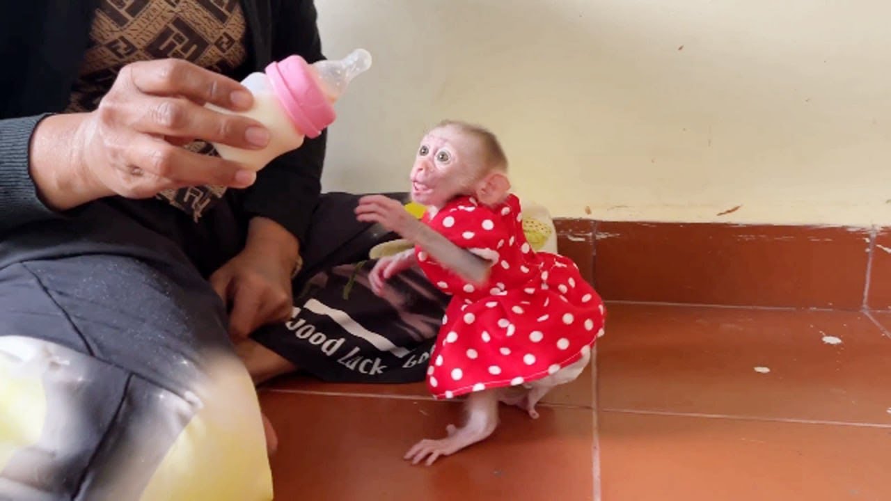 Smart Selena Stand Up Step Walk One By One To Gesture With Milk Bottle