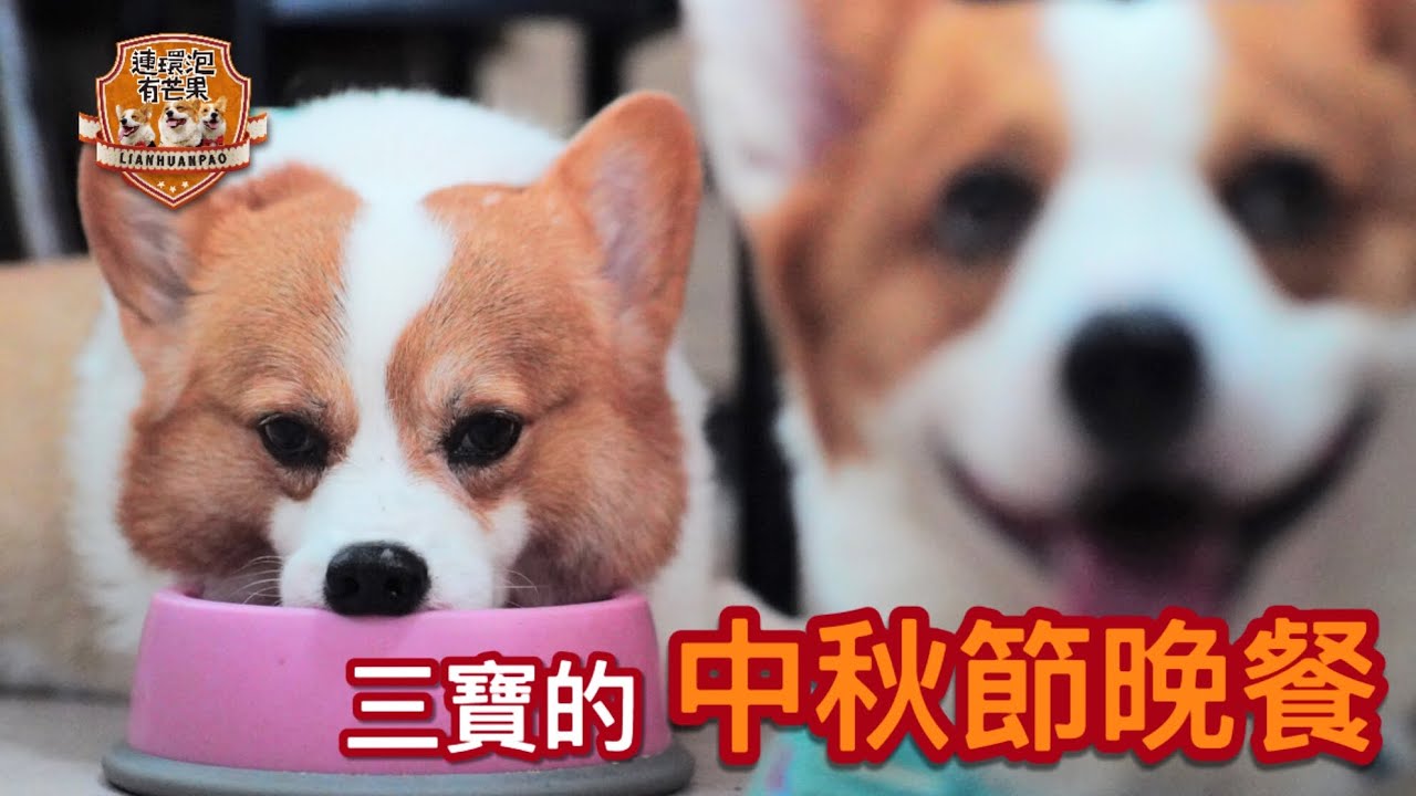 三寶的中秋晚餐