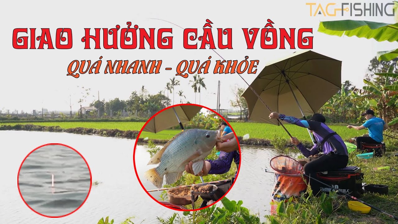 Trải Nghiệm Bay C&aacute; Khủng Với Cần Tay Guide Giao Hưởng Cầu Vồng 5H