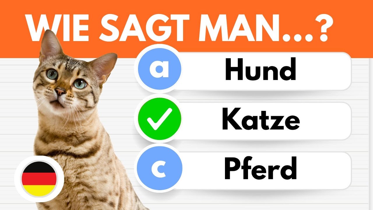 German Quiz A1-A2: Wie gut ist dein Deutsch?