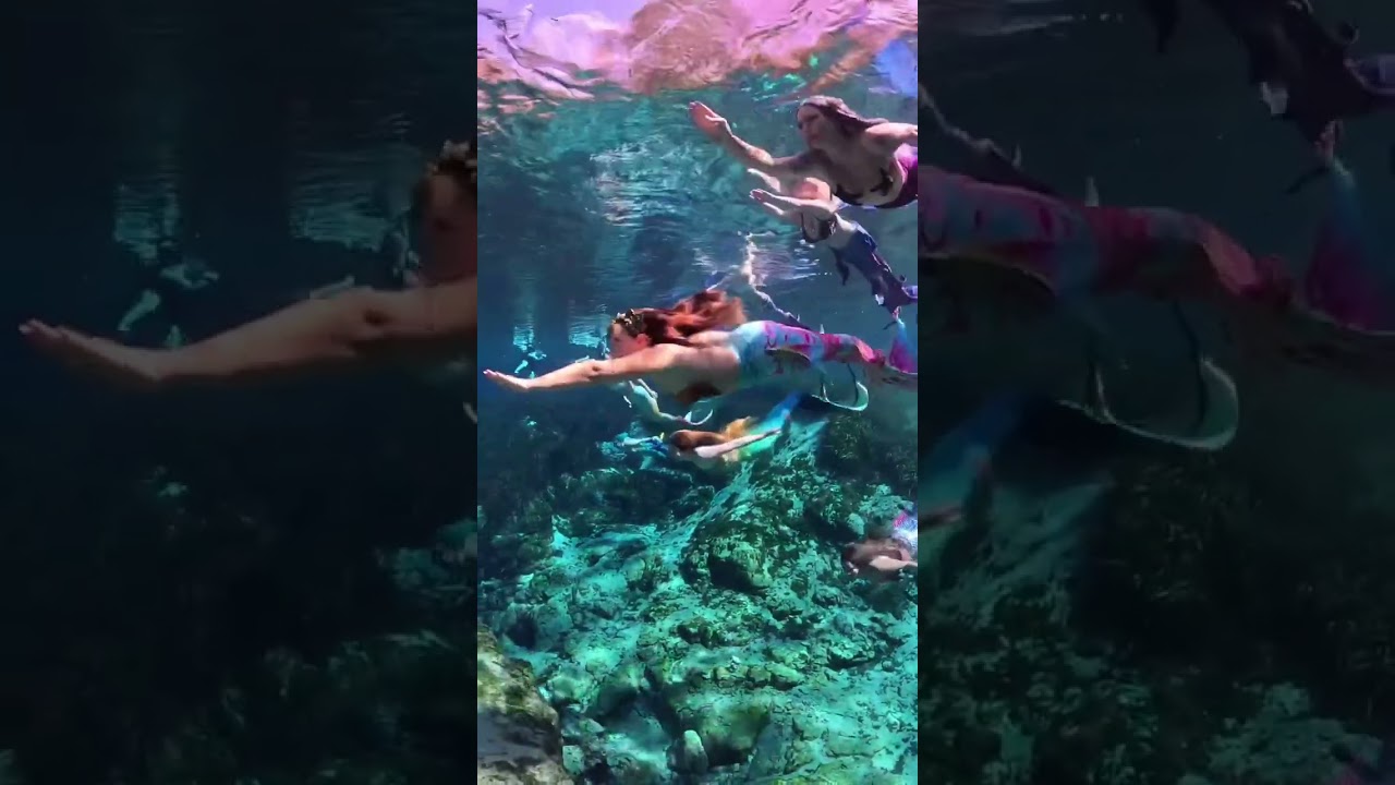 Migrating with the pod 🧜&zwj;♀️ #mermaid #verobeachmermaid