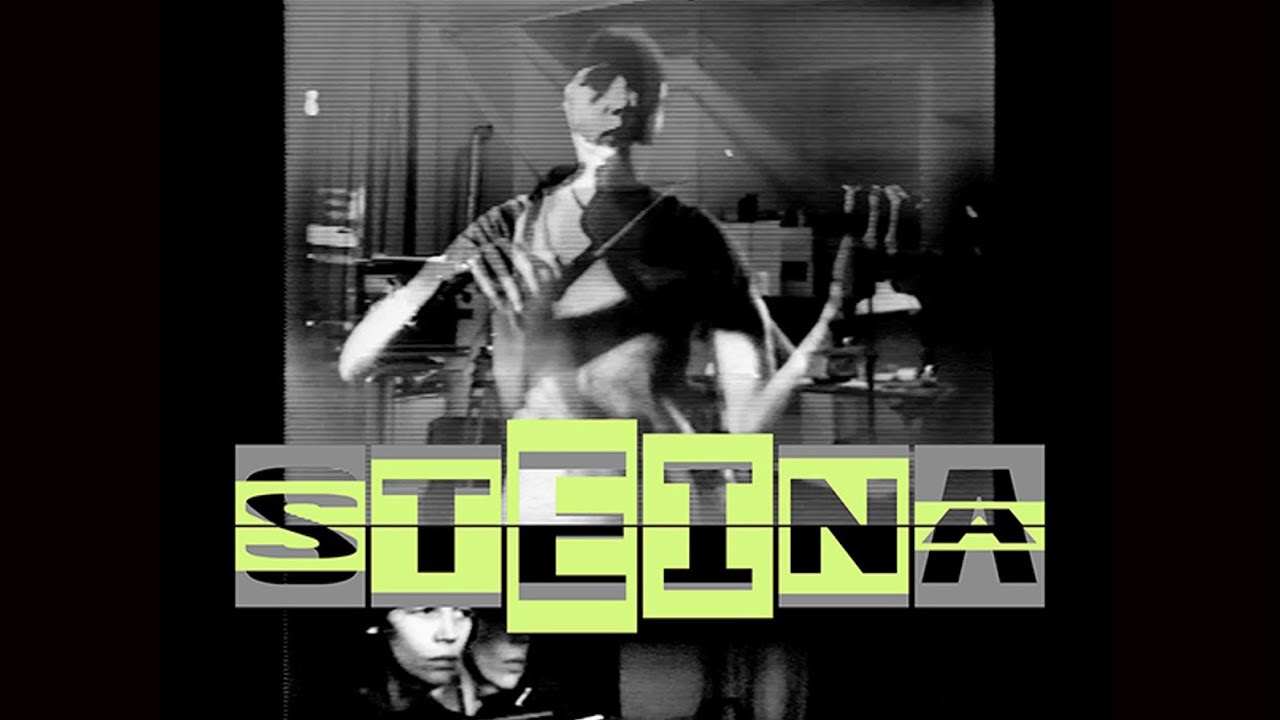 Symposium in Honor of Steina: Signals and Feedback