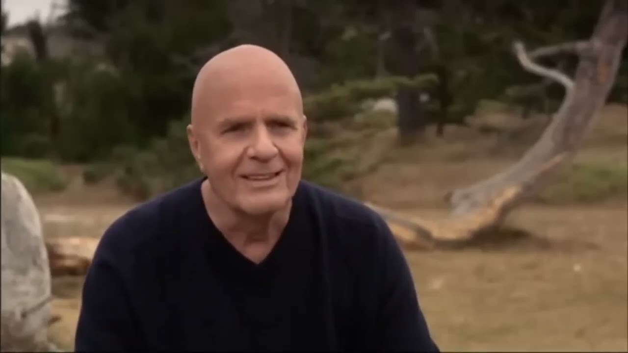El Cambio  Wayne Dyer The Shift 🎬 Pel&iacute;cula Completa