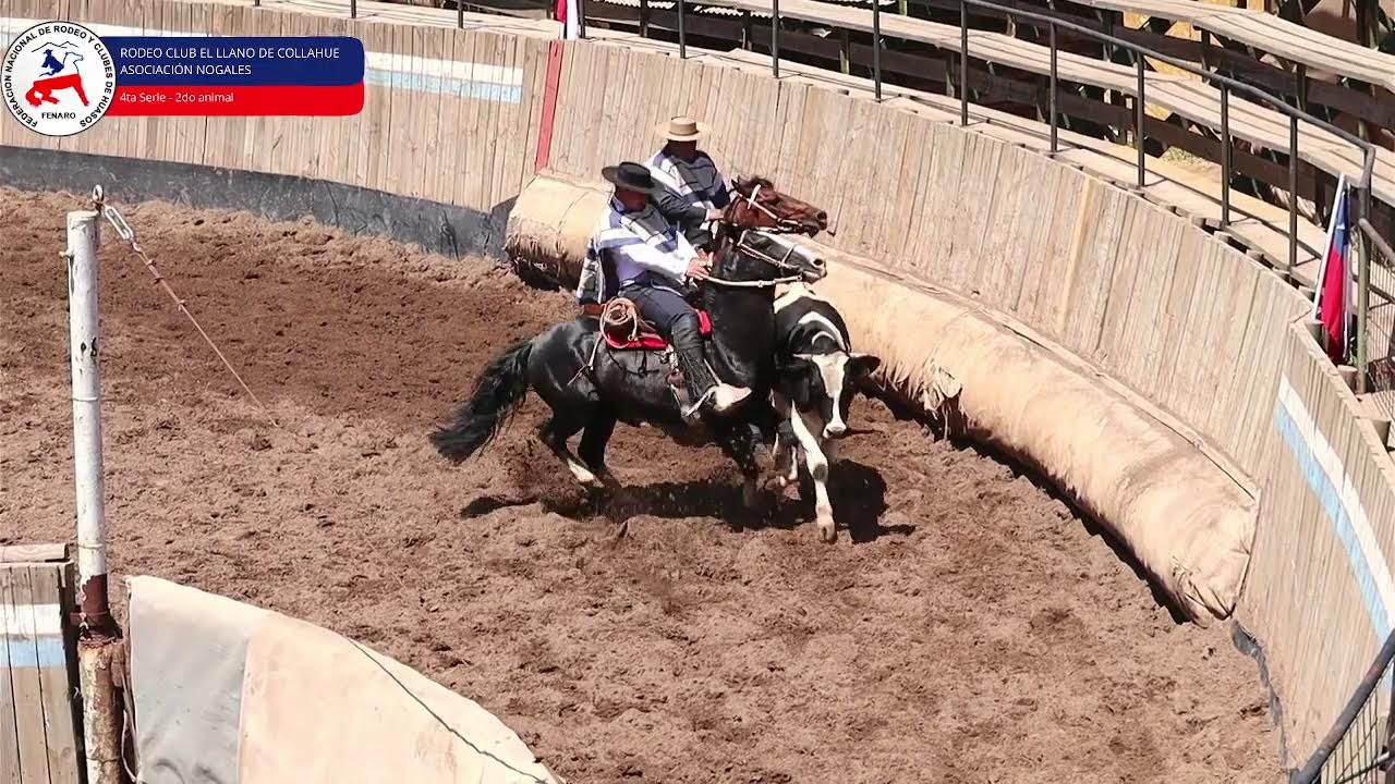 Rodeo Club El Llano de Collahue. Asc. Nogales - Cuarta Serie