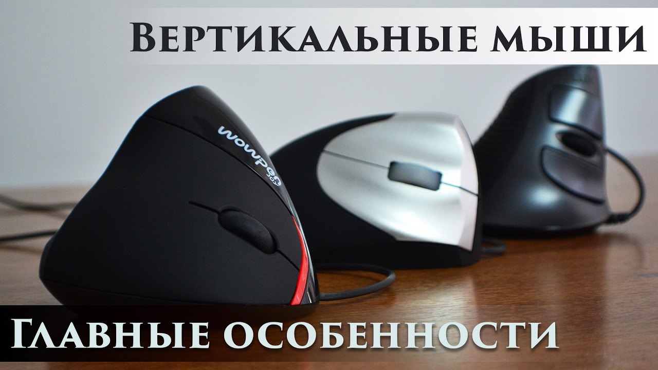 Вертикальные мышки - что нужно знать при покупке