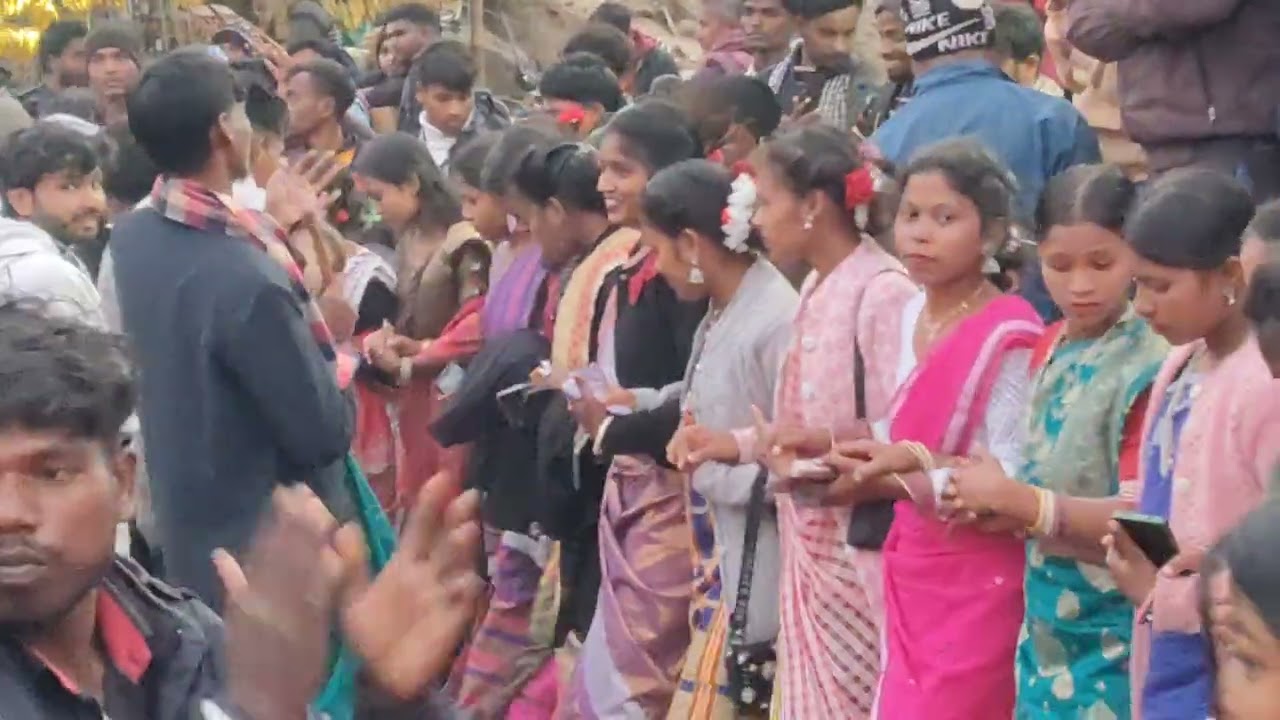 B.S.K College Barharwa Disom Sohrai Porob #sohraivideo2026 #sohrai #sohraiserenj 