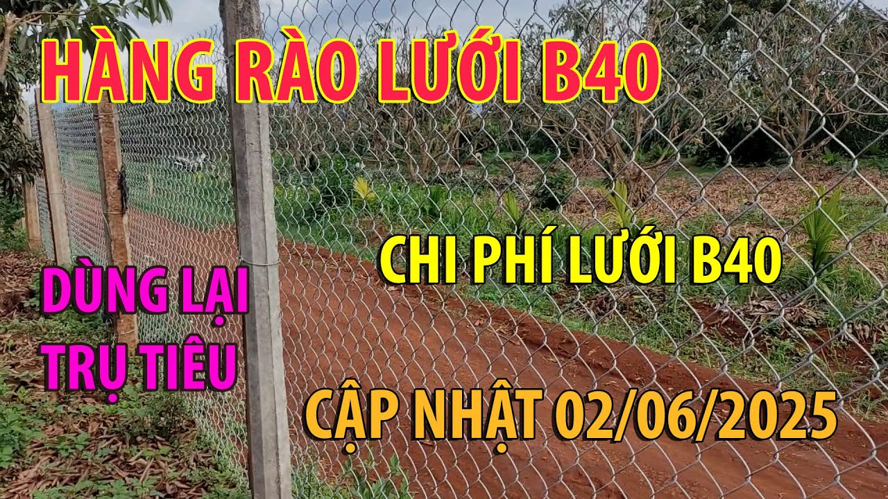 Chi phí hàng rào lưới B40.. Cập nhật chi phí làm hàng rào bằng lưới B40 mới nhất 02/06/2025
