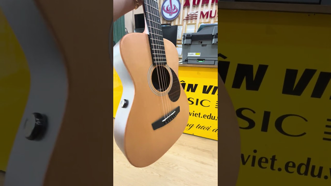 Guitar Acoustic EnYa EB-X1 Pro