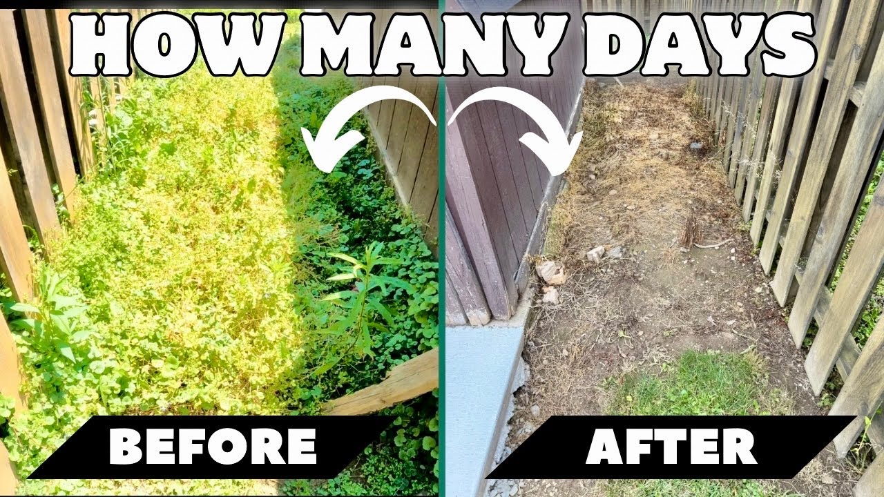 We Tested the BEST Weed and Grass Killer: HOW MANY DAYS DID IT TAKE?