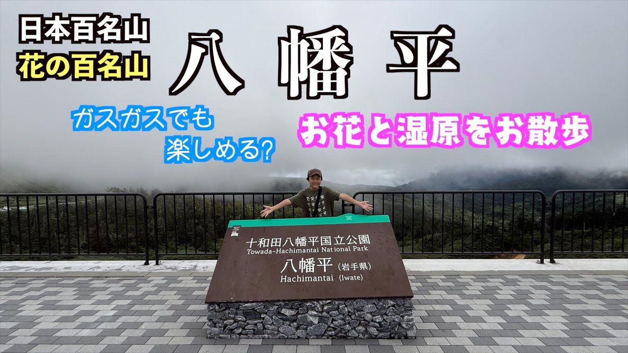 【八幡平】湿原と沼地　お花畑のお散歩コース