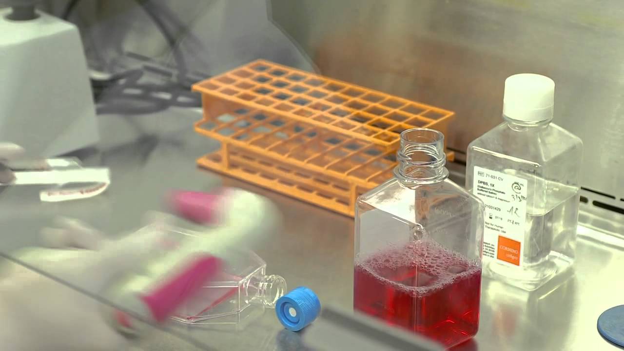The Tissue Bank at NewYork-Presbyterian/Columbia University Medical Center