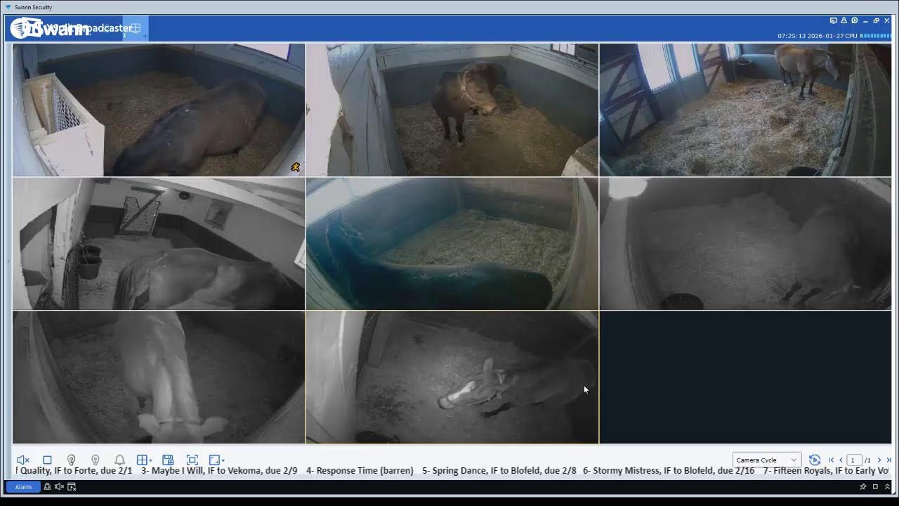 CLF Livestream 1/26/26