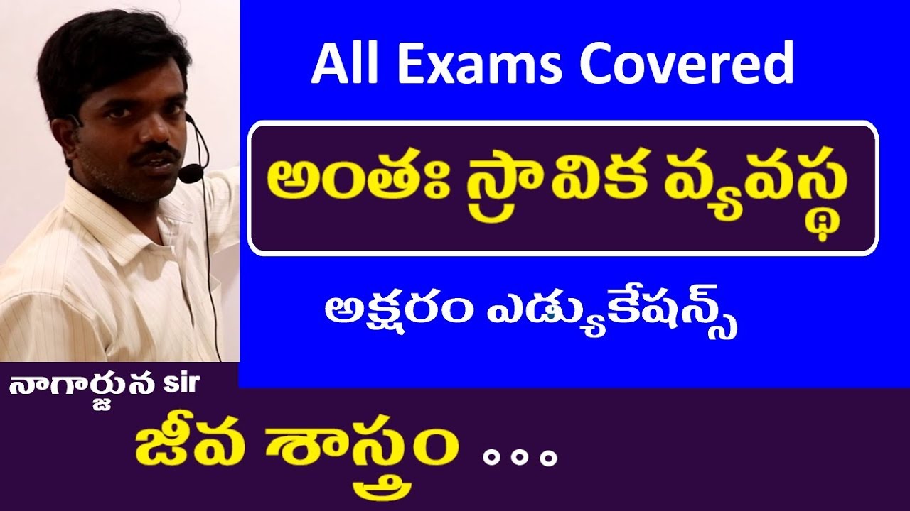 అంతః స్రావిక వ్యవస్థ || Biology Classes in Telugu ||  Human Body | Endocrine System
