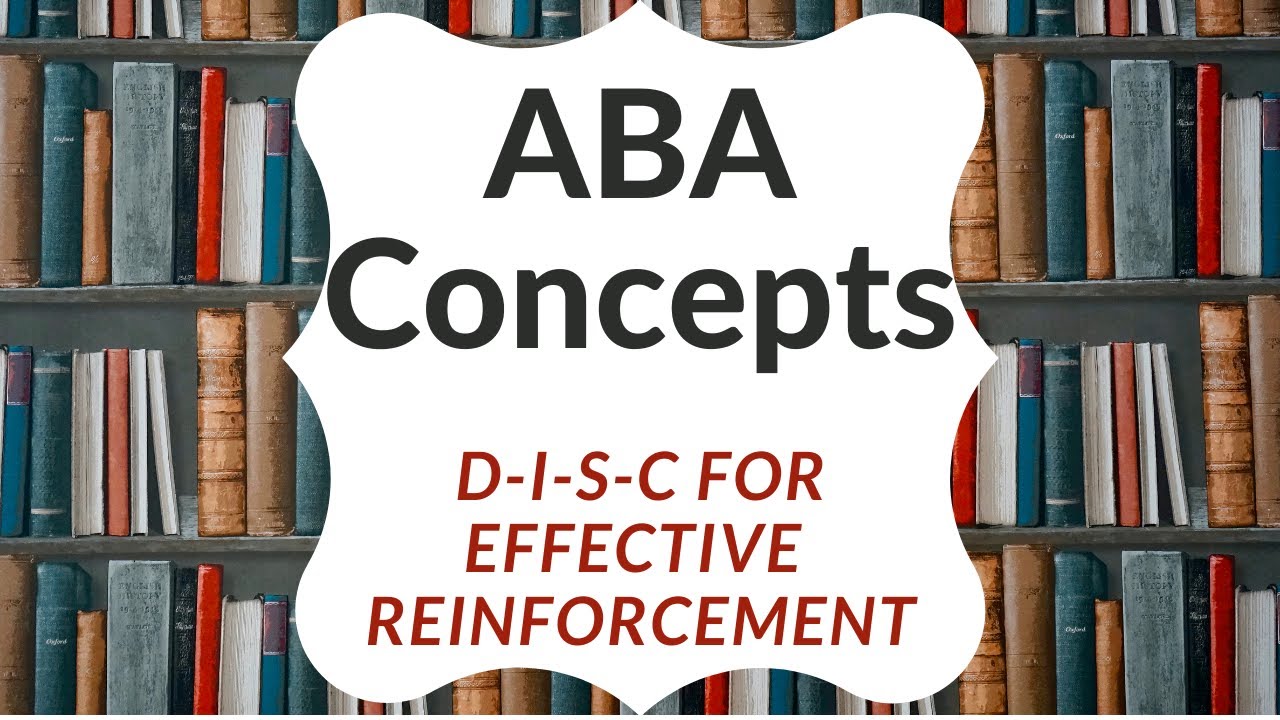 DISC for SR+: Principles for Effective Reinforcement