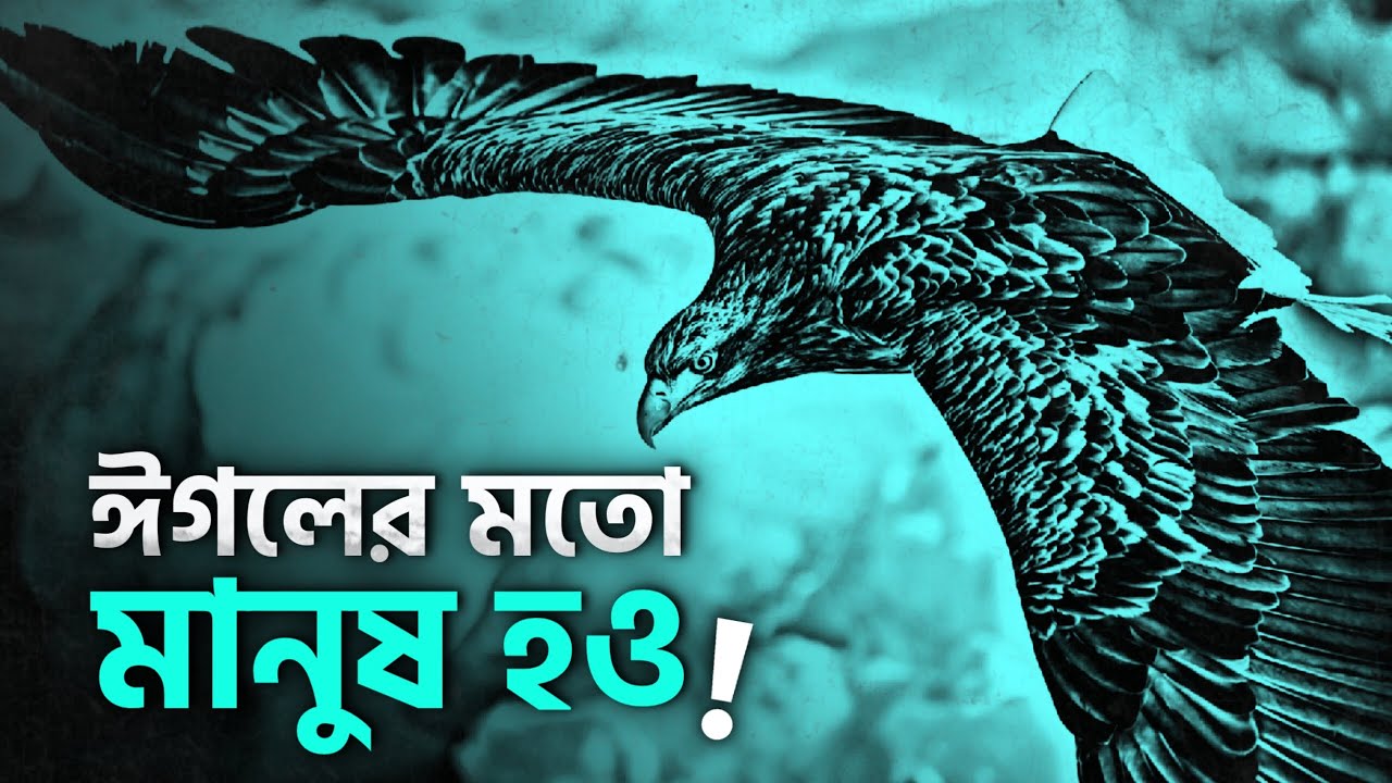 ঈগলের মতো ATTITUDE তৈরি করো 🔥 | Power Of Attitude | BEST MOTIVATIONAL VIDEO by Nagar Bioscope