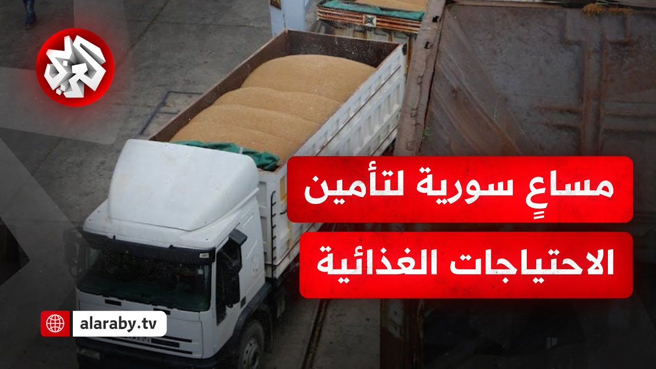 تحديات وفرص في سوريا للأمن الغذائي مع تراجع إنتاج القمح وزراعات كثيرة أخرى