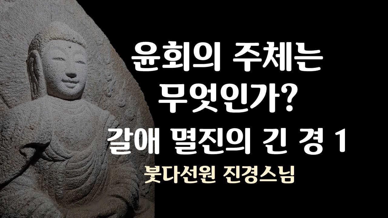 무아의 윤회, 윤회의 주체는 무엇인가? 갈애 멸진의 긴경 (2018년 11월)