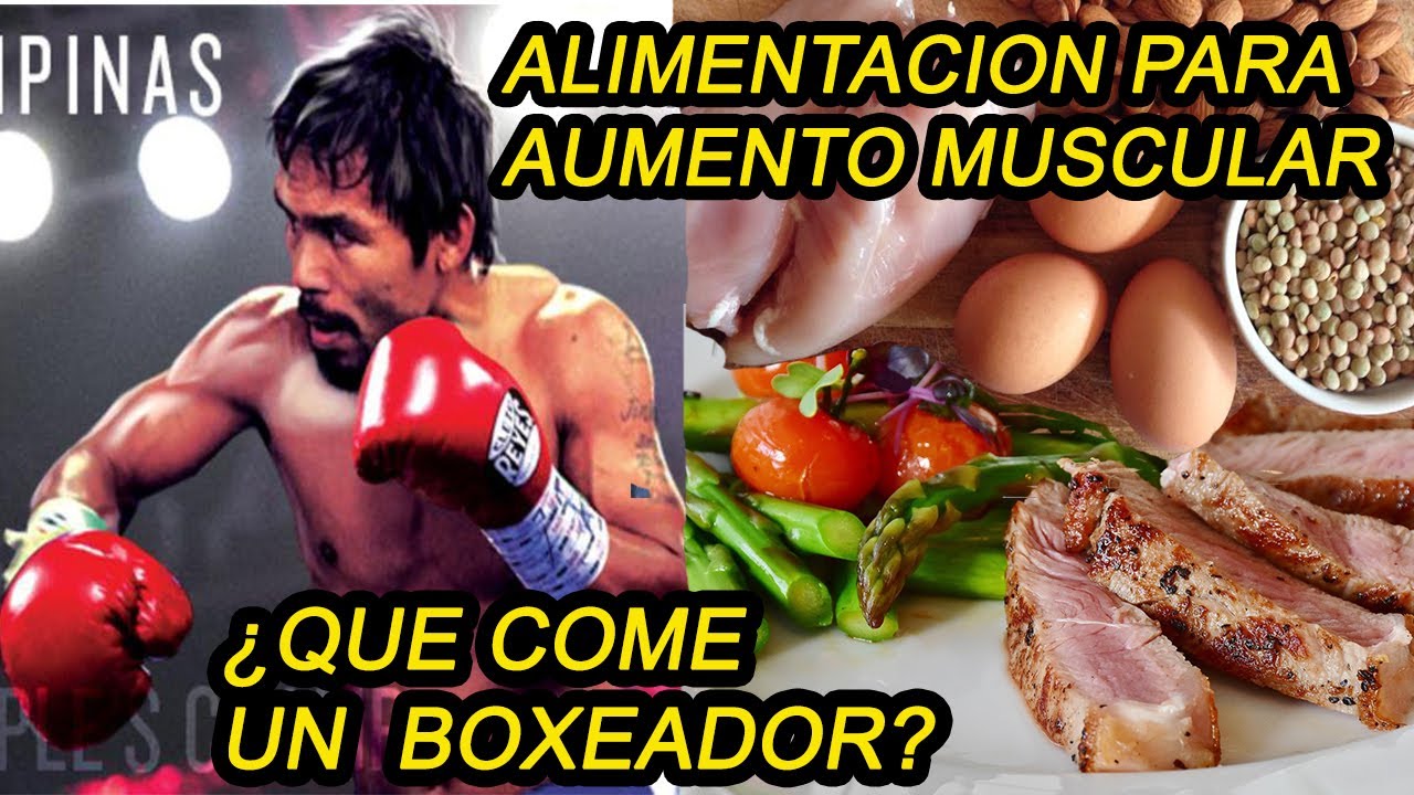 COMO ES LA ALIMENTACIÓN DE UN BOXEADOR PARA AUMENTO MUSCULAR