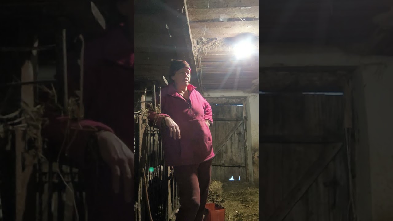 Як я вчила давати картоплю козинятам