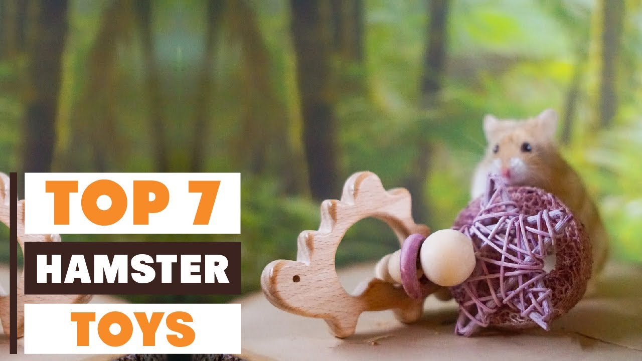 7 Best Hamster Toys of 2025: Top Picks for Happy Hamsters!