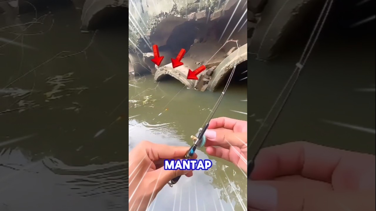 mancing ikan di spot parit gorong-gorong 😱 #shorts #fishing #mancing