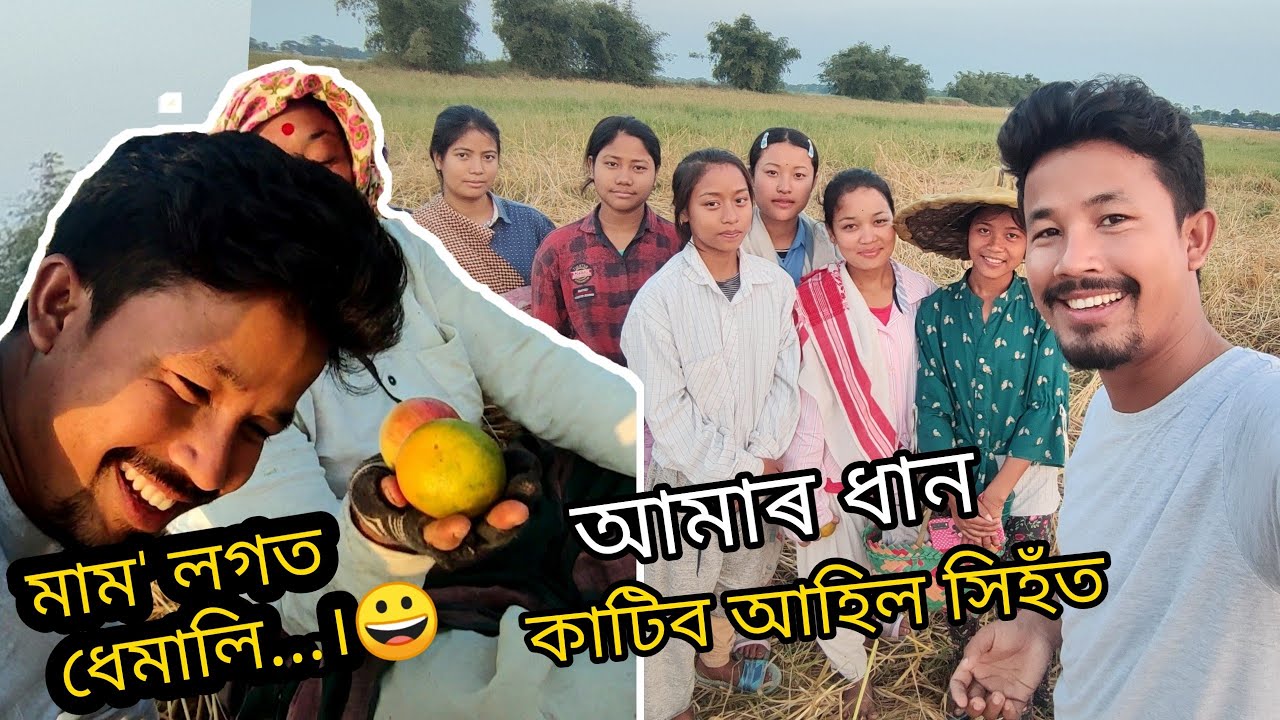 Rígbo: সিহঁতে আমাৰ ধান কাটি শ্বিলং যাব- Mising Ao