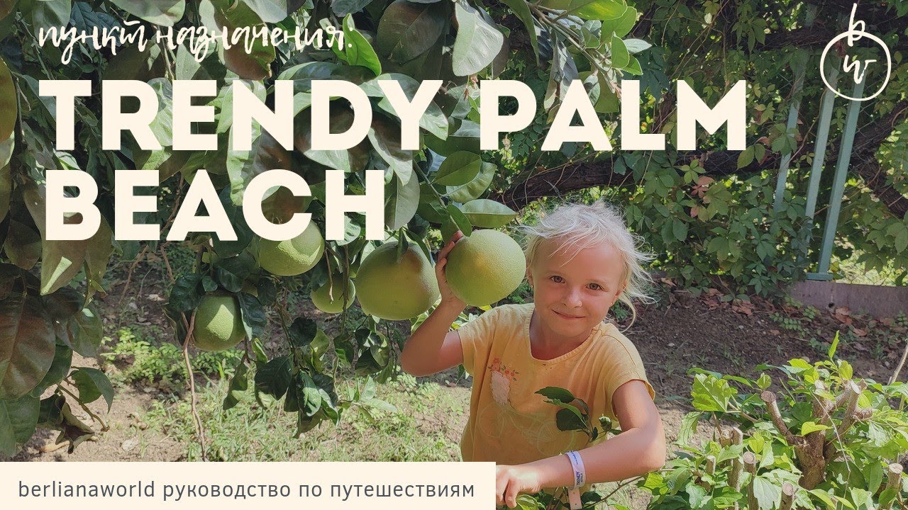 TRENDY PALM BEACH 5* Сиде тренди пальм бич Турция первая линия песочный пляж новый обзор отеля
