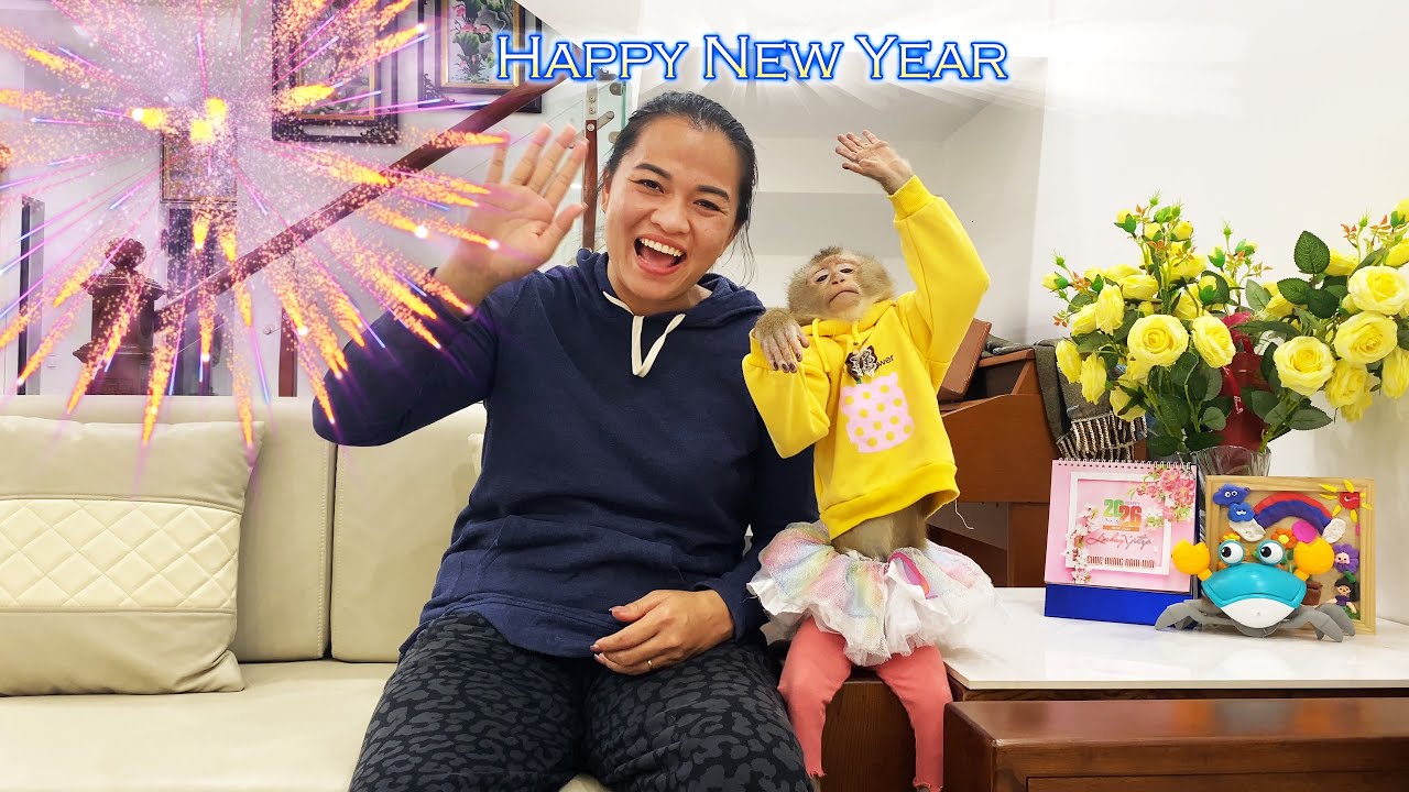 Goodbye 2025! Lyly the Monkey sends her best wishes for the New Year to everyone.