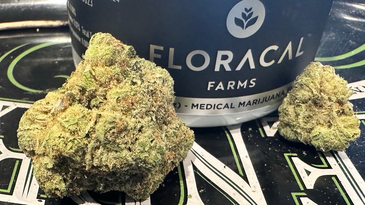 White Whale by Strain Rreview ~ PA Medical