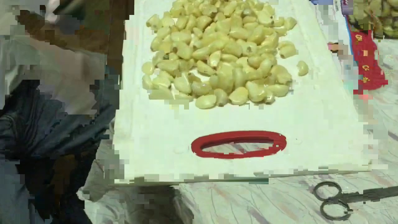 How to extend the life of garlic