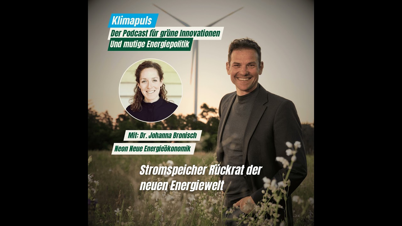 Stromspeicher das Rückgrat der neuen Stromwelt