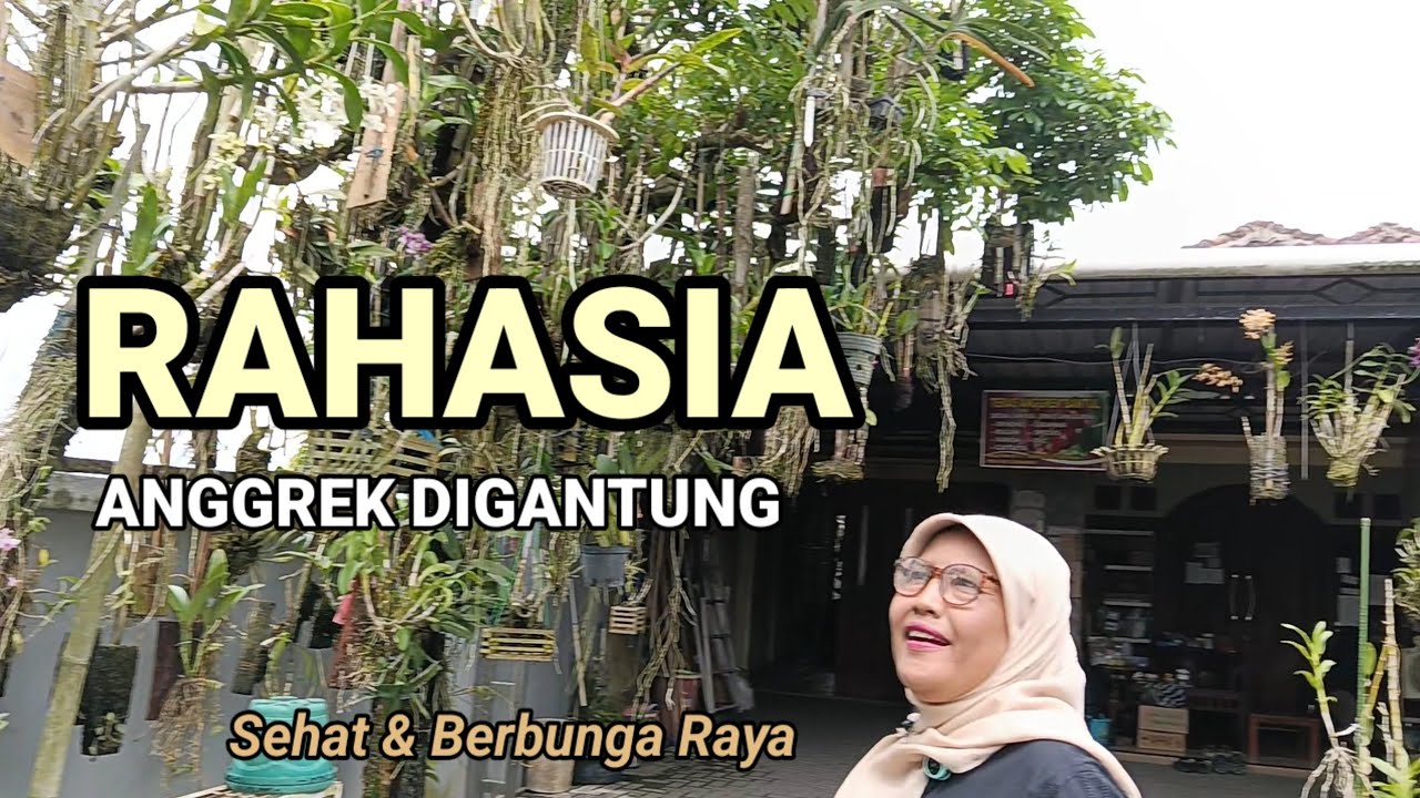 Senior Anggrek Bantul Bongkar Cara Tanam Digantung yang Bikin Subur!