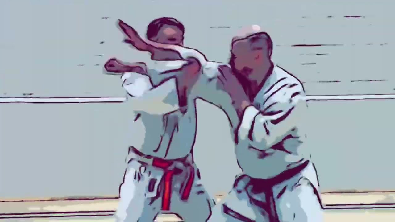 Kihon dai kata and futari geiko