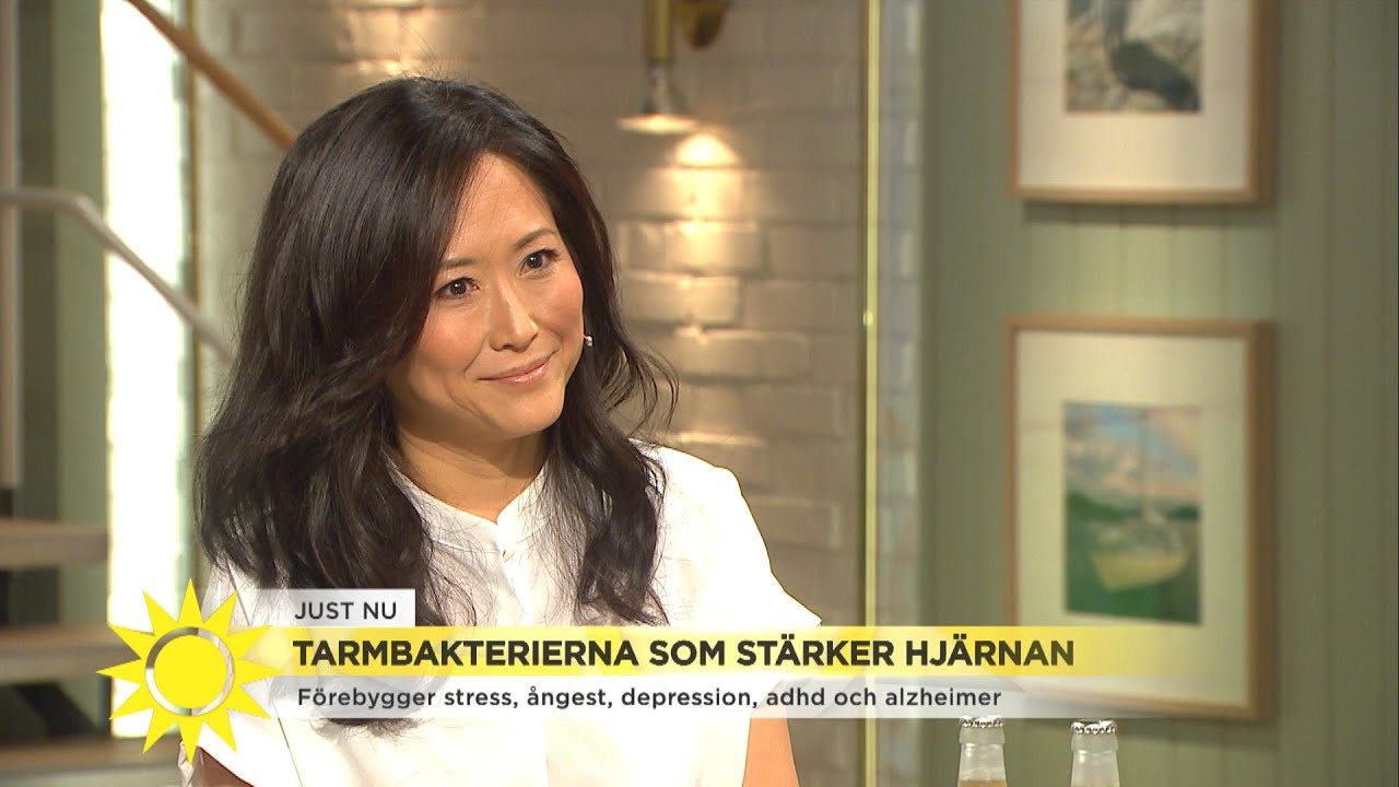 Stress och ångest kan minskas med rätt bakterier  - Nyhetsmorgon (TV4)