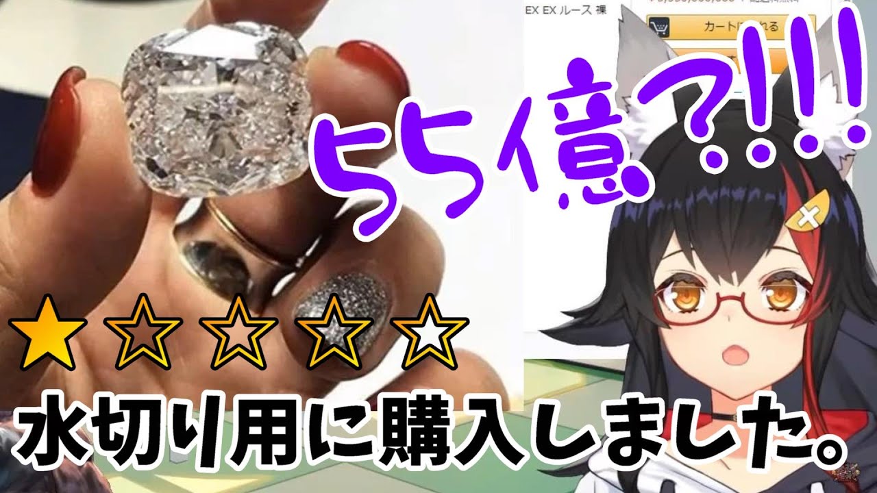 ミオちゃんと見るAmazonの超高額商品のネタレビューが面白い