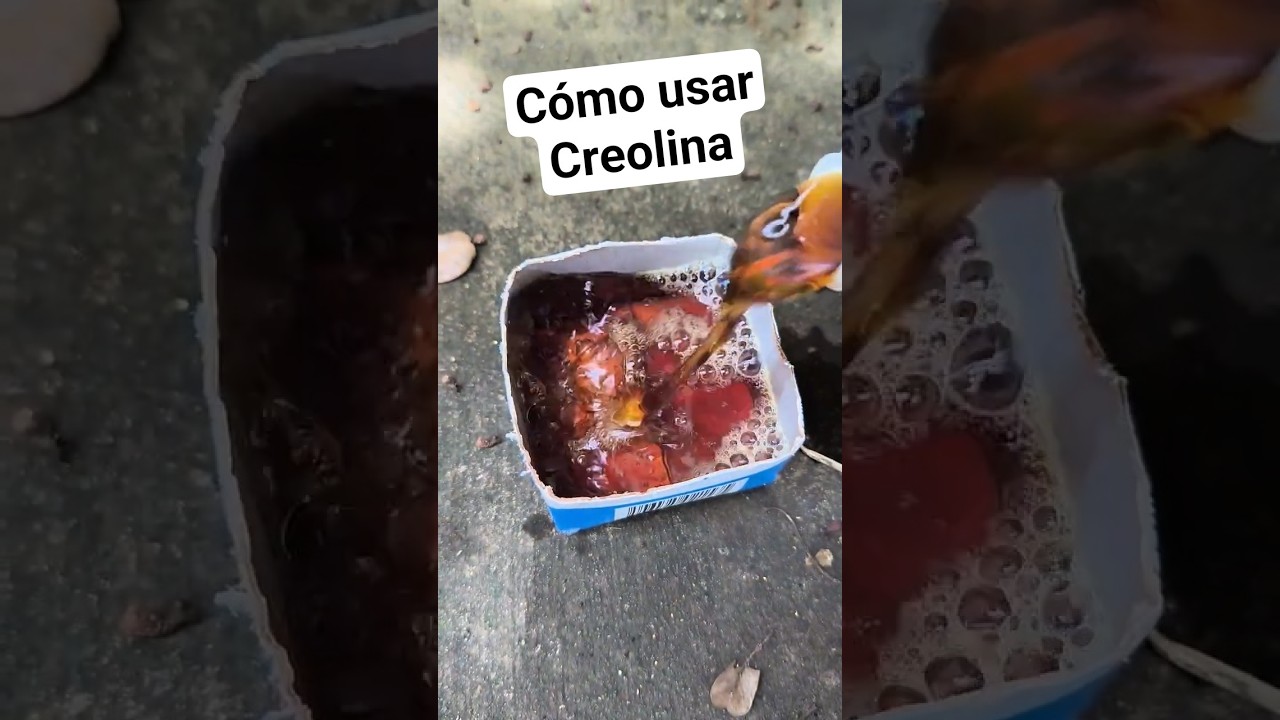 C&oacute;mo Usar Creolina para Limpiar y Desinfectar 🏡✨ #creolina #limpieza #desinfeccion #hogar #consejos