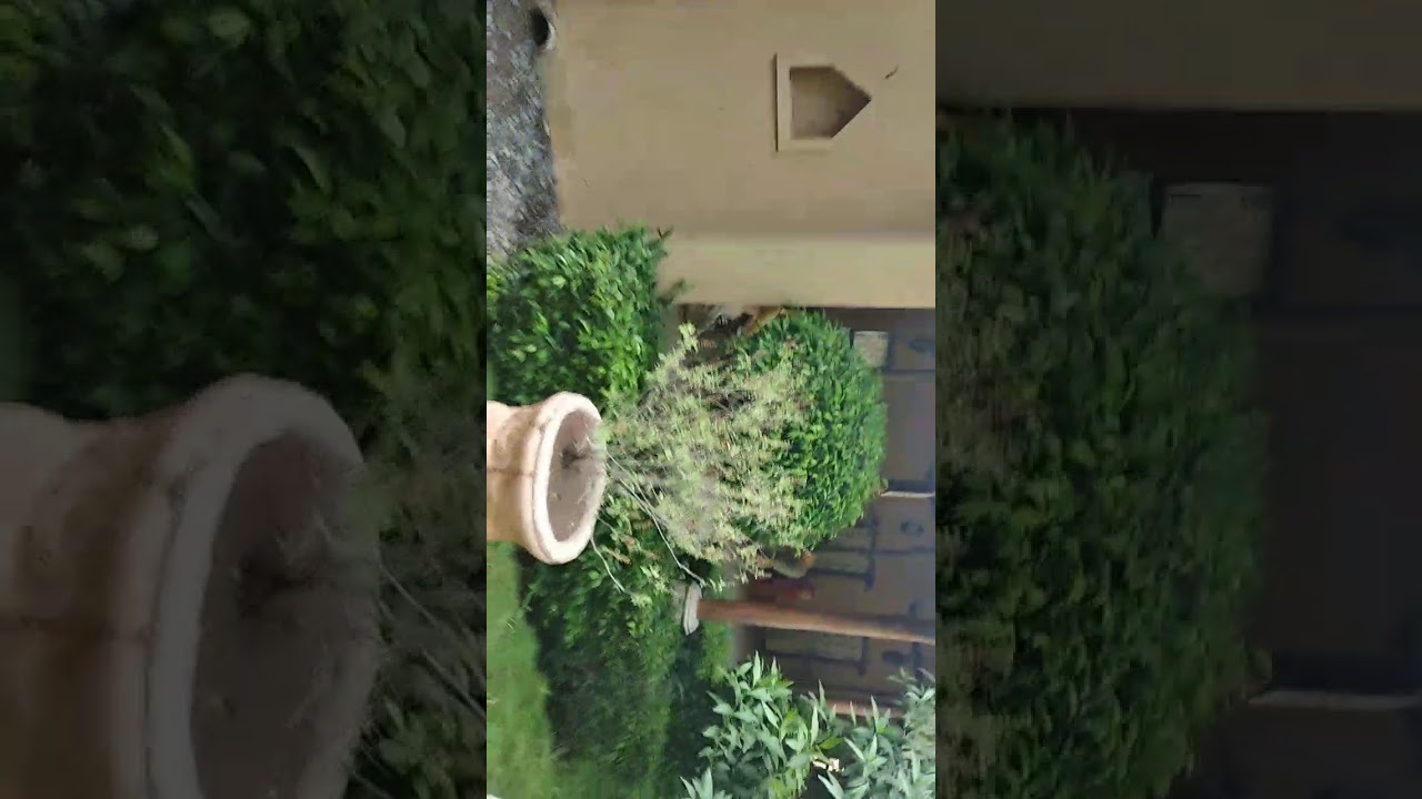 Sahajanand Universe (NEELKANTH DHAM DARSHAN) -| Poicha|Swaminarayan Mandir -|| GUJARAT