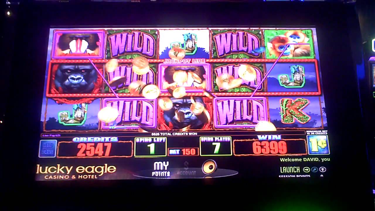 Gorilla Slot Machine Bonus