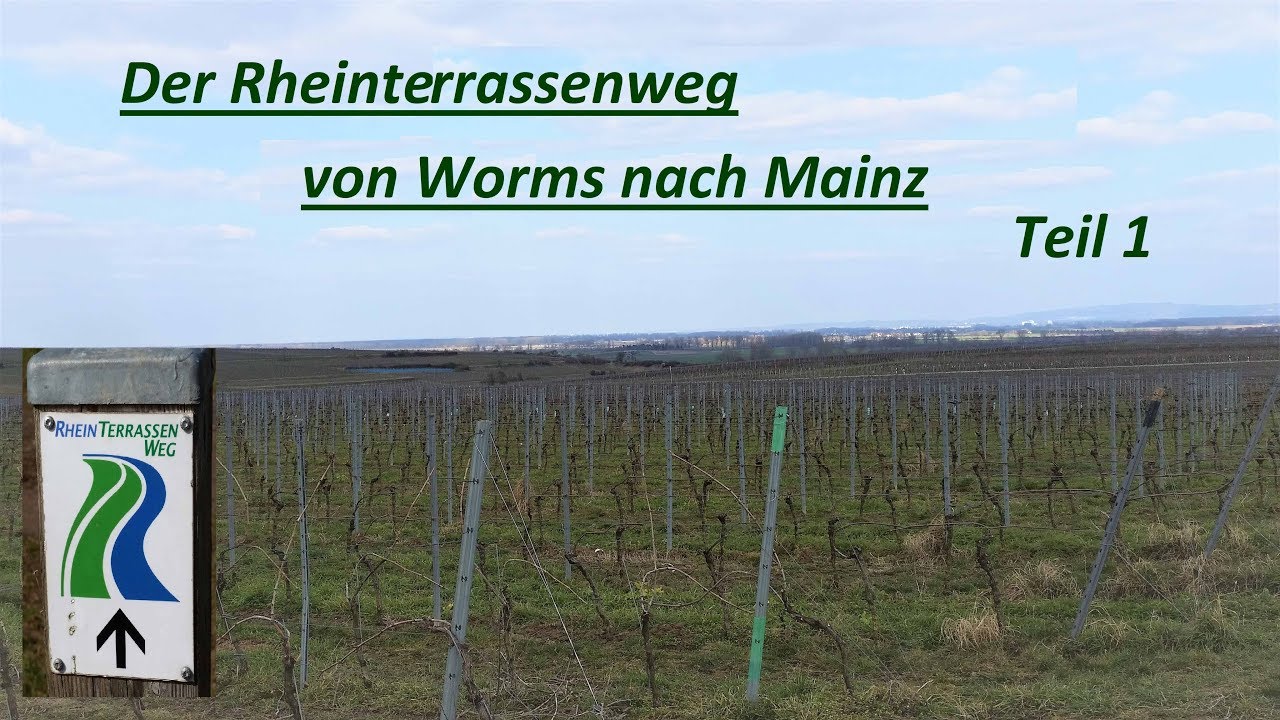 Der Rheinterrassenweg von Worms nach Mainz  Teil 1