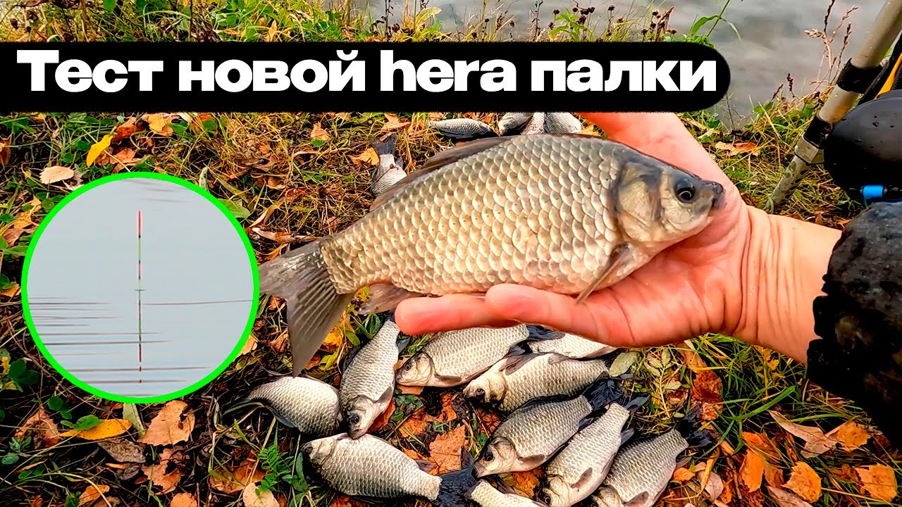 Новая удочка. Карась. Ветер.