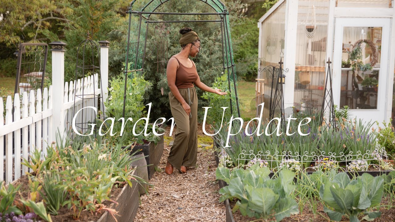 Take a relaxing garden tour with me as I check on plants and reflect | Garden Update