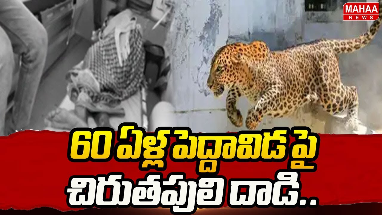 60 ఏళ్ల పెద్దావిడ పై చిరుతపులి దాడి.. | Leopard Hulchal At Ananthapuram | Mahaa News